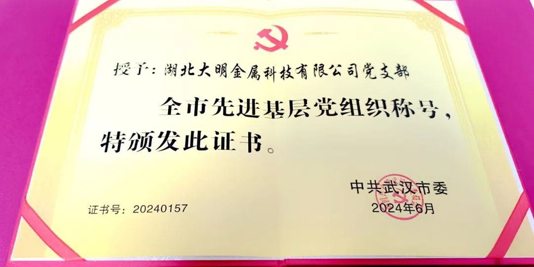 喜報！湖北大明黨支部榮獲“武漢市先進基層黨組織”稱號